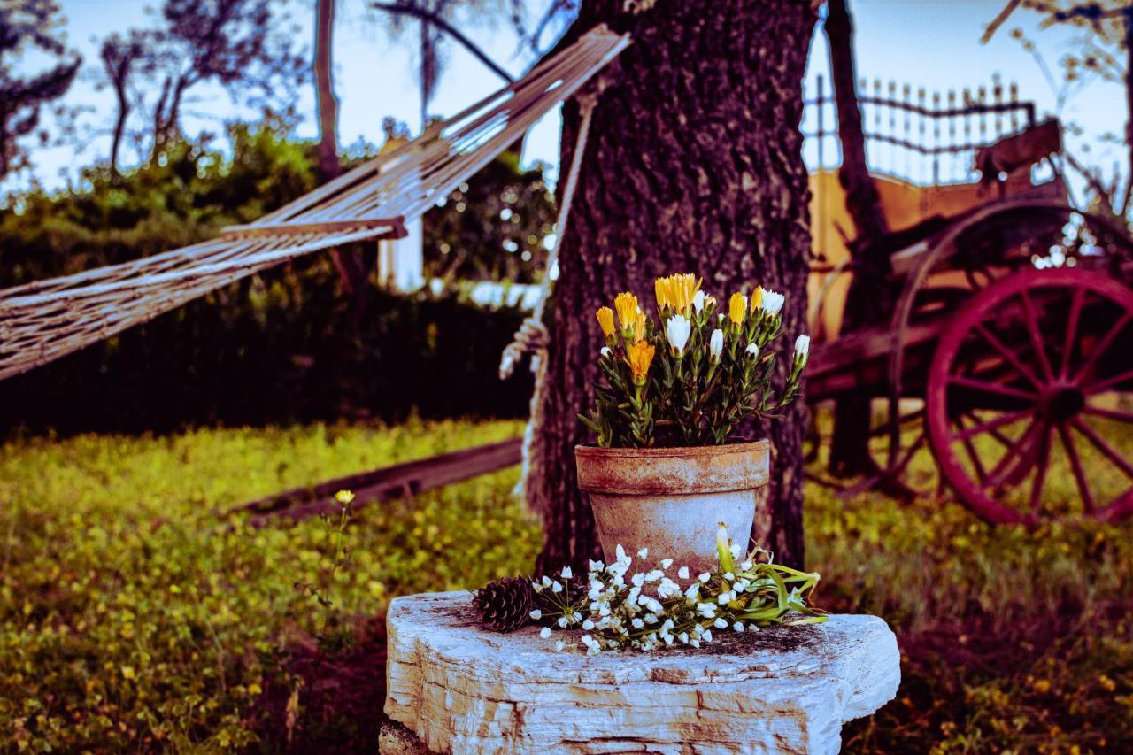 Antica Casina B&B Di Charme Pulsano Kültér fotó